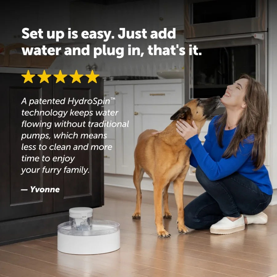 128 o Dog Fountain