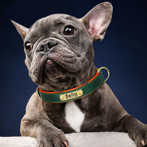 Customized PU Leather Nameplate Dog Collar Soft