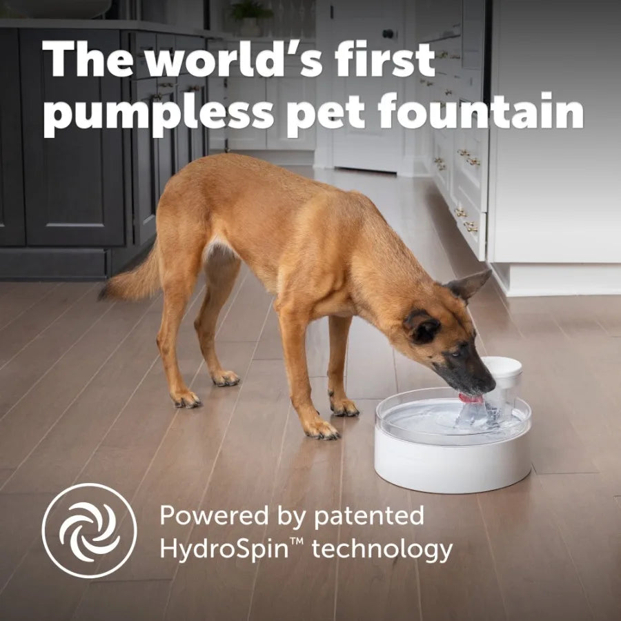 128 o Dog Fountain